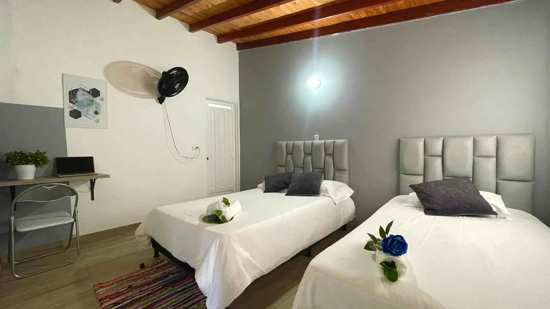 Homestay Home Colors - Comodas Habitaciones Estadio Medellin Colombia